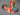 A Rainbow of Hope